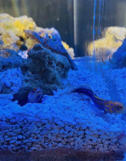 &#x301C;水族館&#128031;&#x301C;
