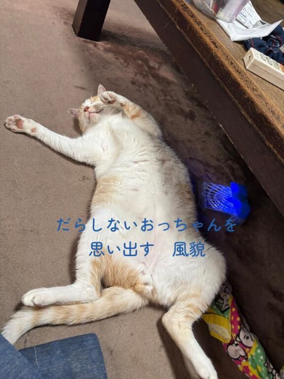 暑くて