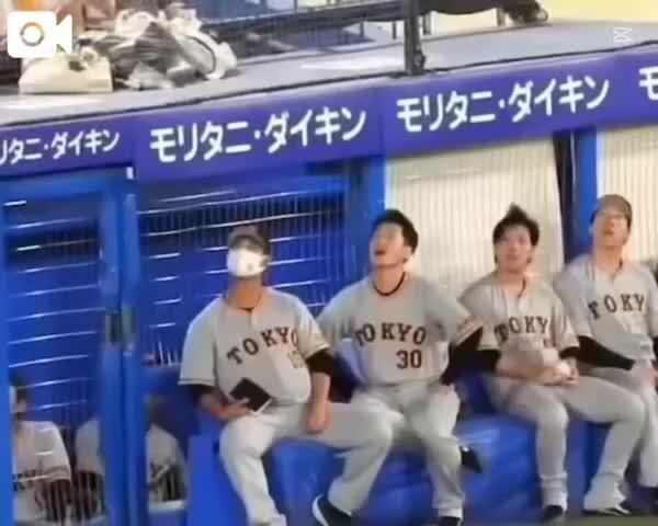 お昼の面白動画
