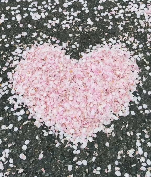 キテネ♡