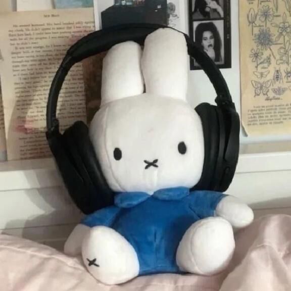 今日の&#127894;&#65039;