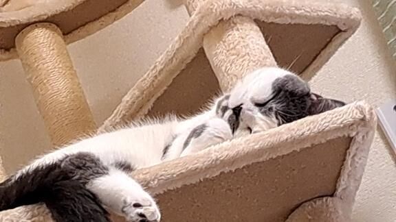 次回出勤日