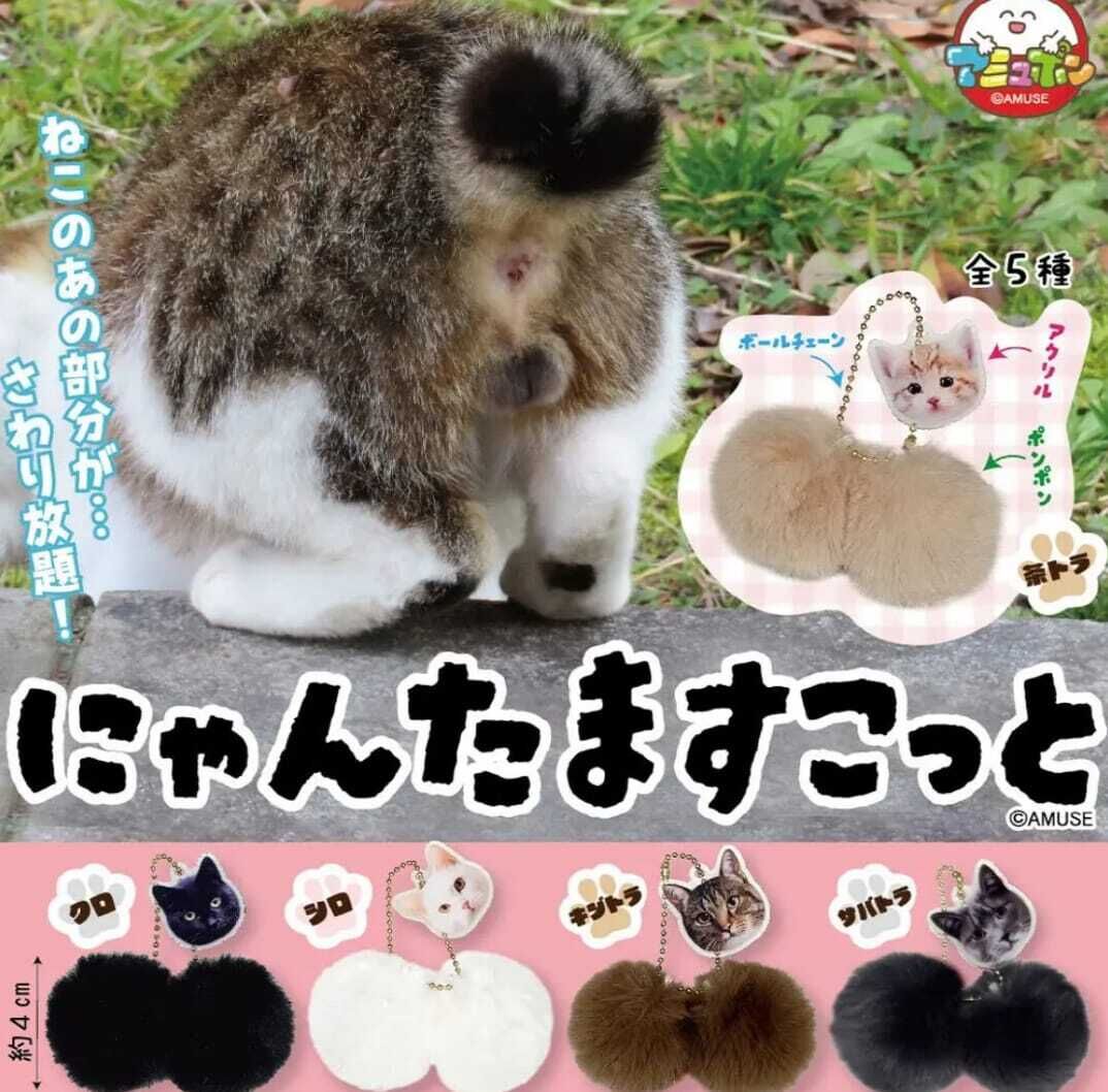 にゃんたますこっと