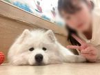 お礼♡