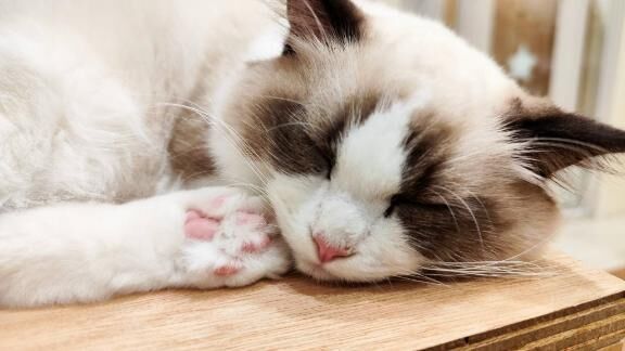 おはよう(*^o^*)
