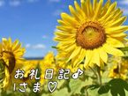 お礼日記