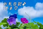 お礼日記