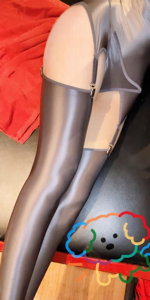 駄犬ちゃん