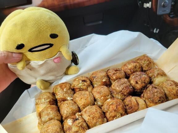 今日はお休みです