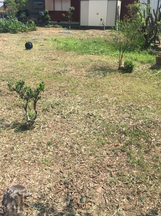 お隣さん晒してますけど