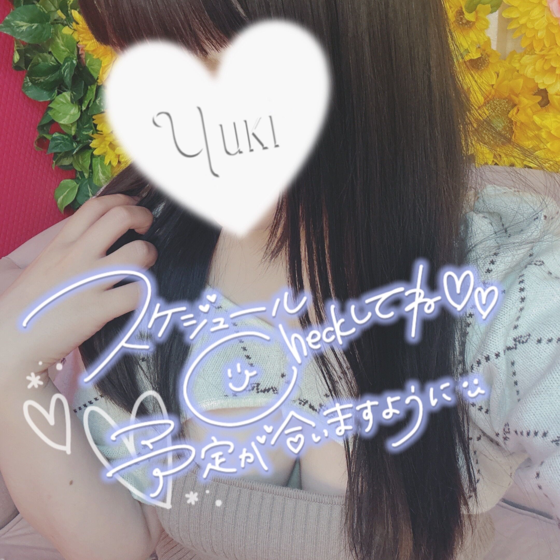 今週の予定