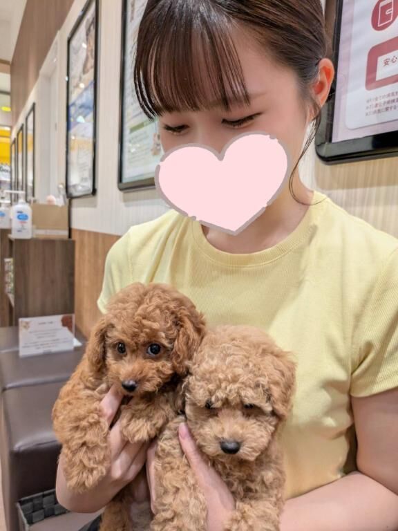 次回９日出勤