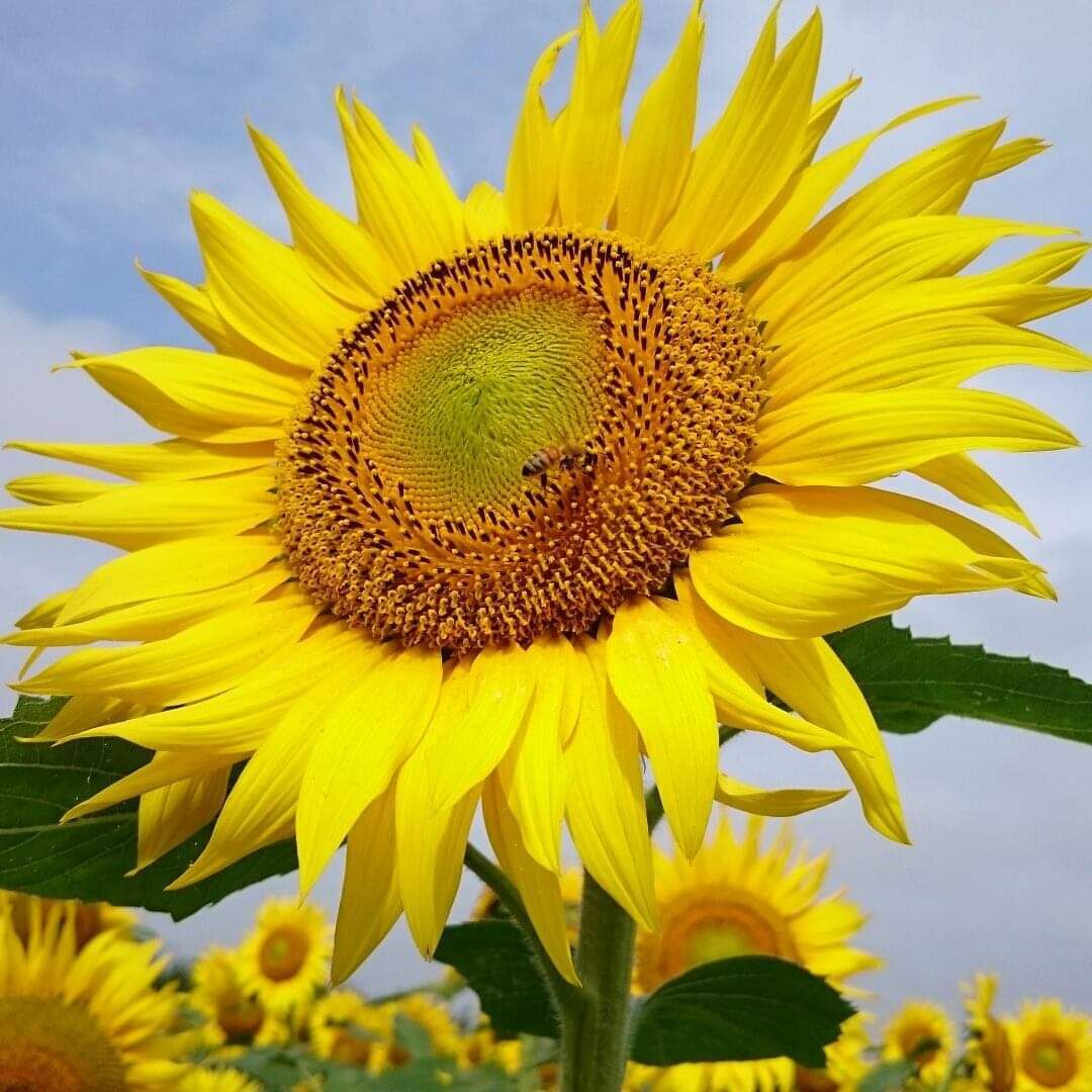 7月の予約状況