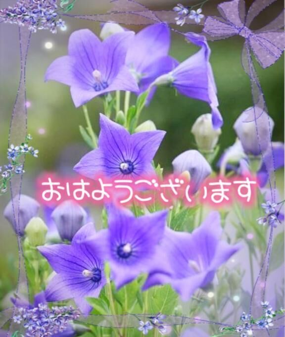 (⌒▽⌒)