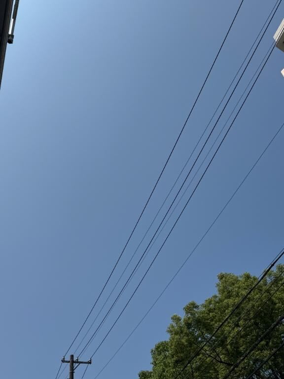 聞こえた！