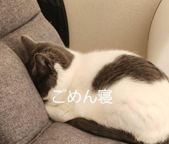 こんにちは