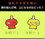 〜あなたはどっち⁇〜