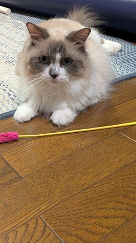 おはようございます