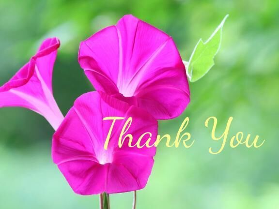 Thanks&#9825;