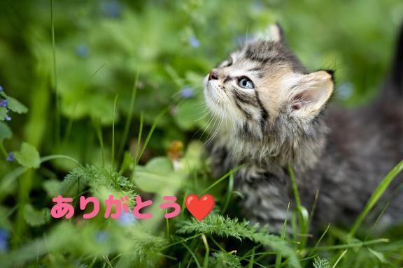 昨日のお礼です&#128522;