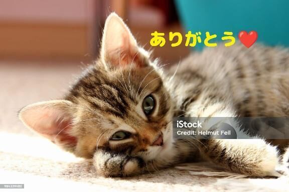 昨日のお礼です&#128522;