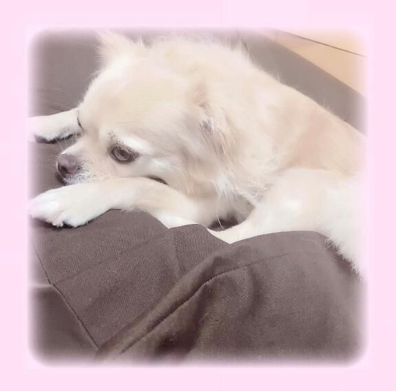 &#9825;&#9825;♀&#9825;&#9825;