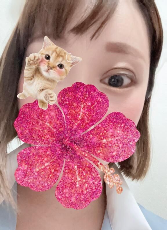おはよん