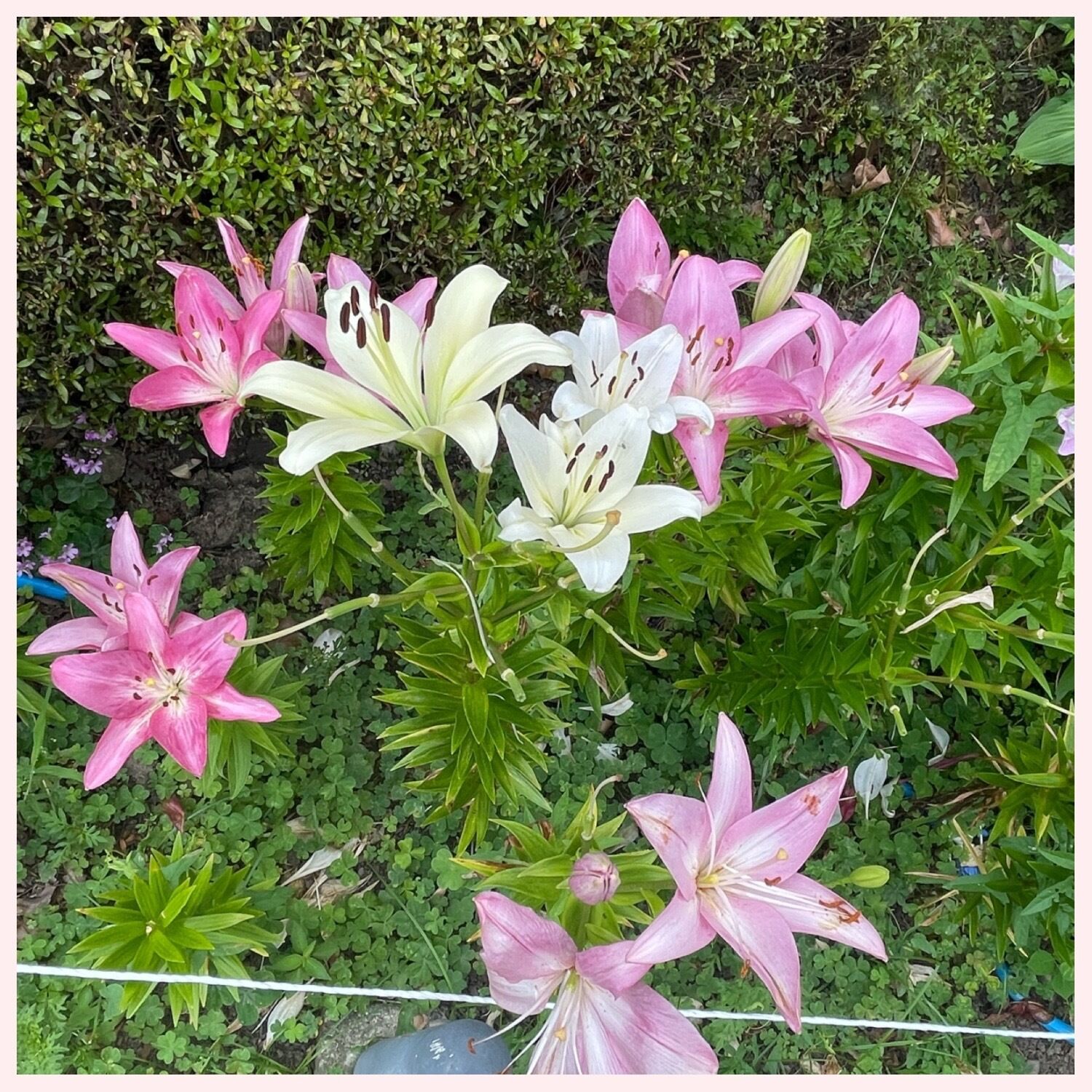 出勤しました(^^)