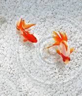 こんにちは&#128522;