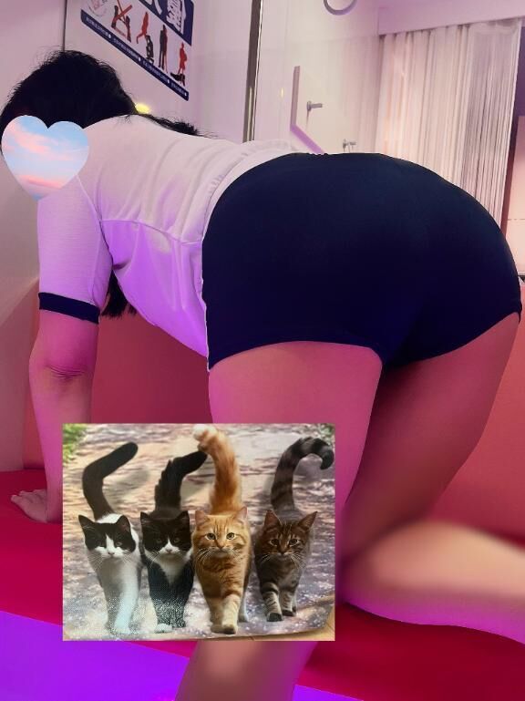 &#9825;ニャン&#9825;&#9825;