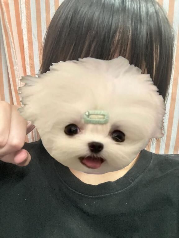あつい&#9825;