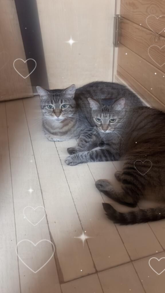 女の子の日が来たため&#128557;