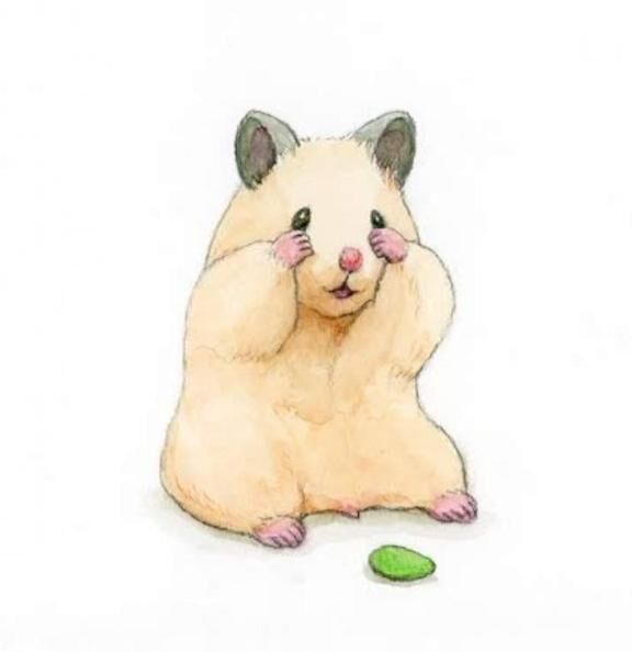 おやすみ&zwj;♀️‪‪