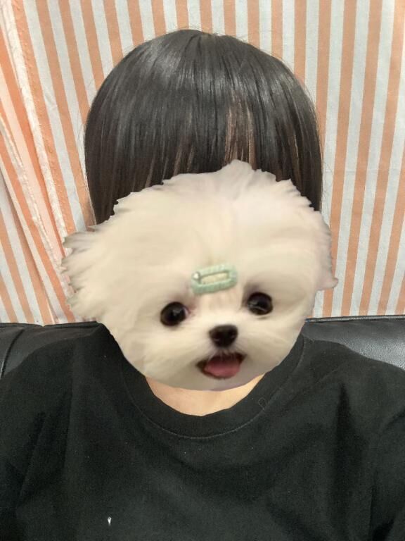 待ってるよ&#x301C;