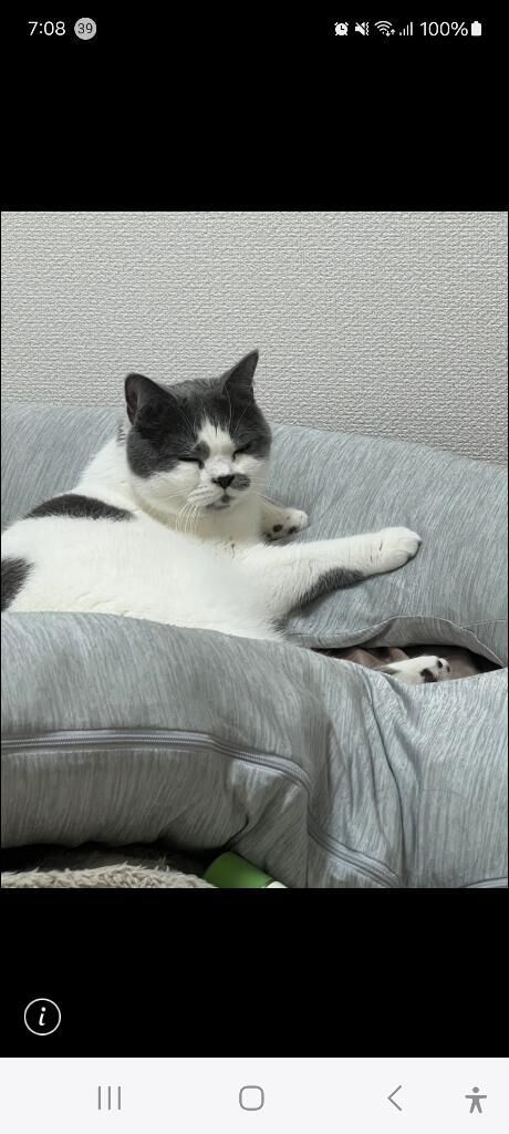 おはようございます&#128522;
