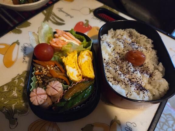 今日のお弁当