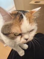 思いだせ…あ….