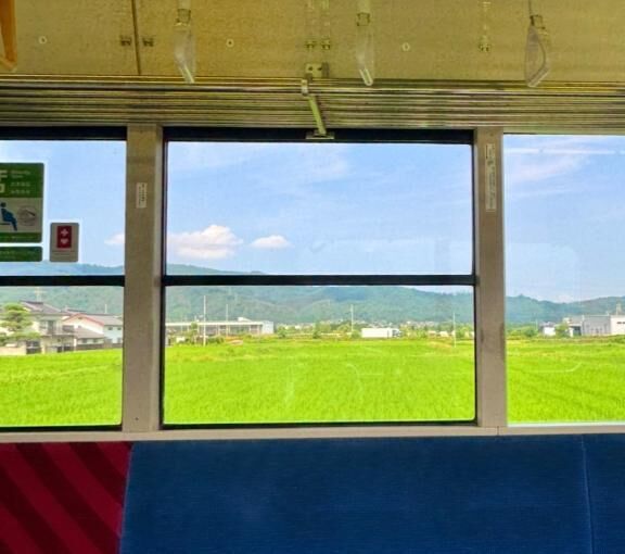 やっぱり自然が好き