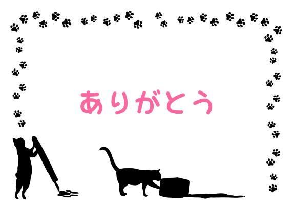 今日のお礼と明日♪