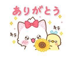14時15分Y様♡*¨*♡.♡♡♡