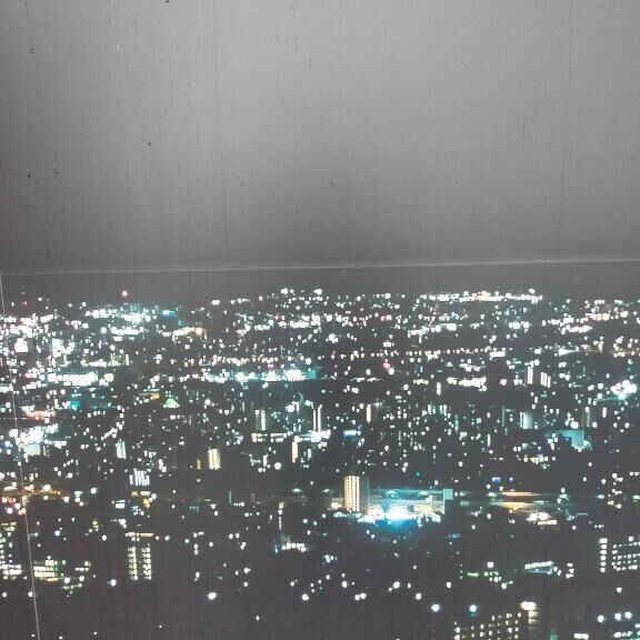 こんばんは〜