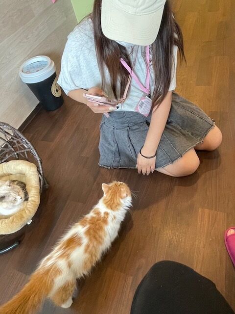 こんばんは
