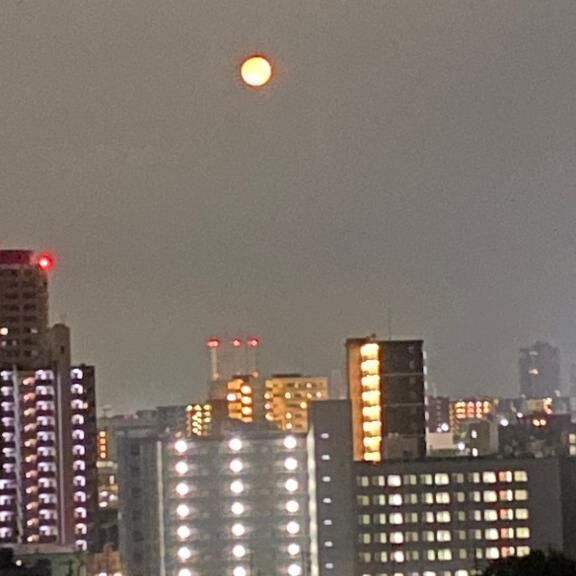 &#127765;&#127769;&#127773;