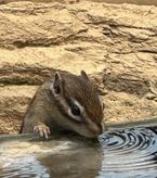 いきまぁ〜す