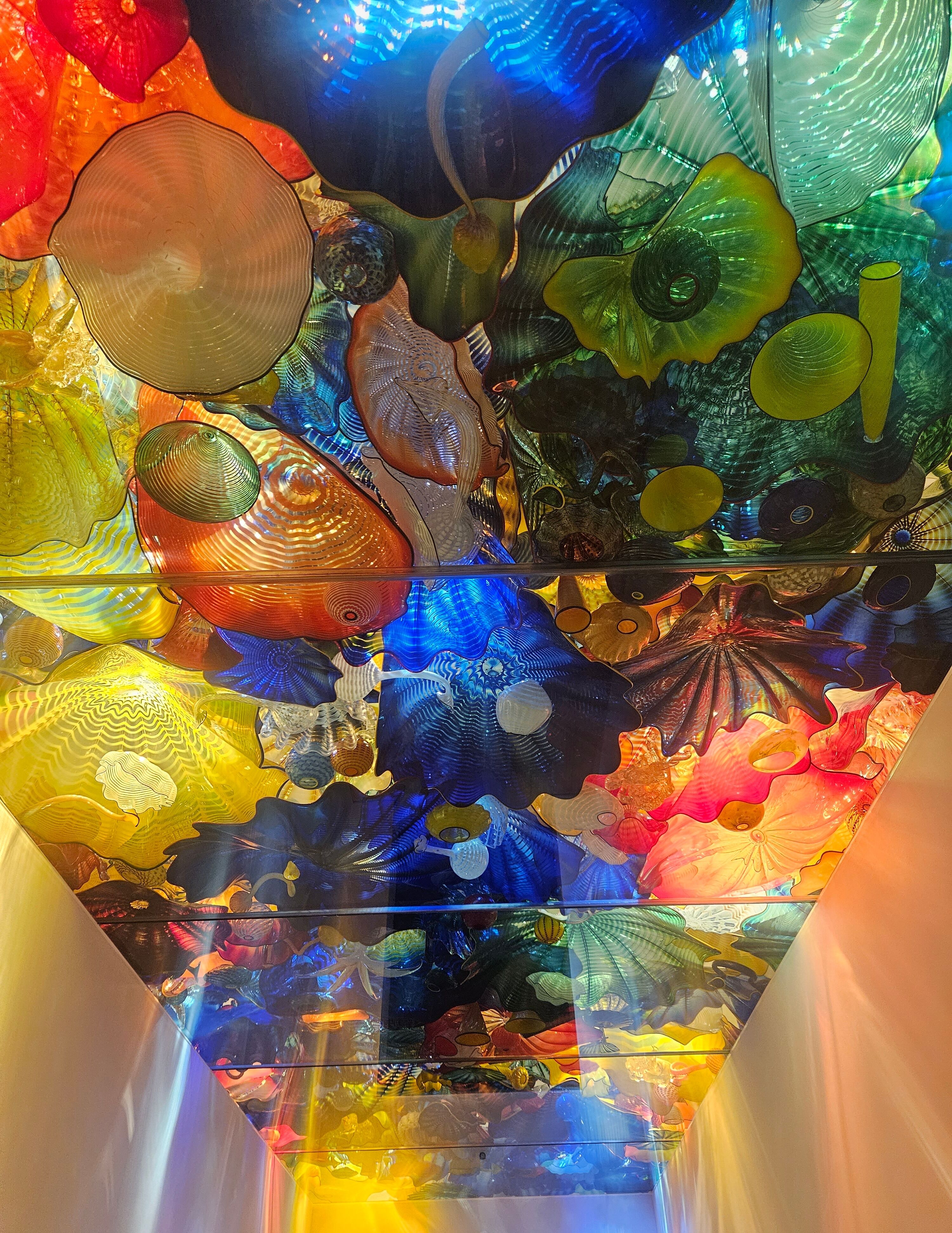 ⭐綺麗⭐
