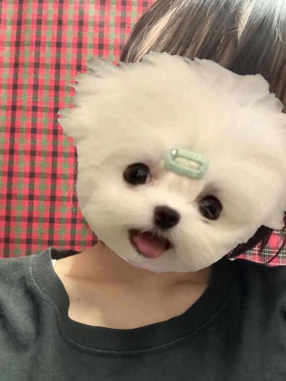 熱中症&#9825;