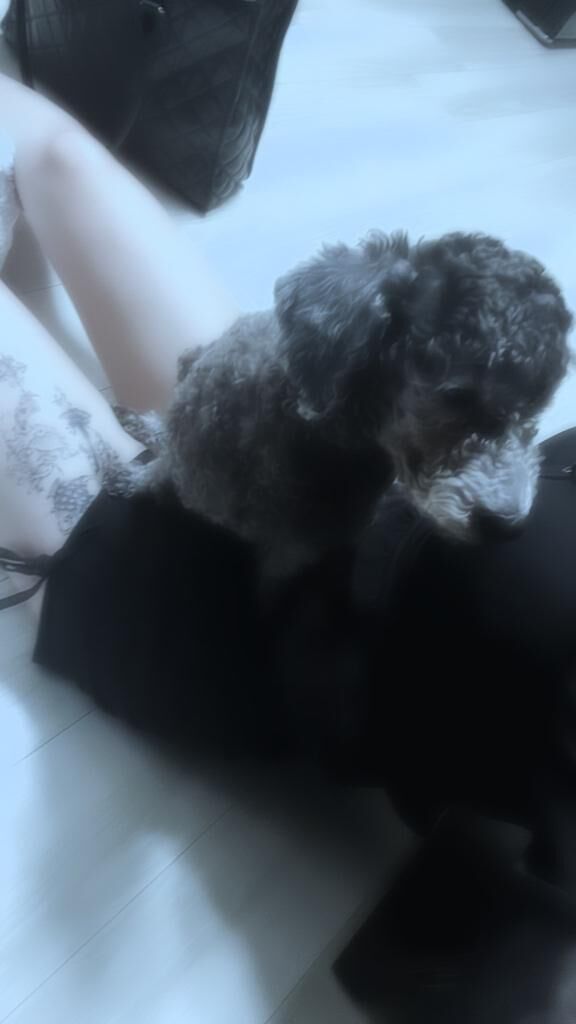 &#9825;