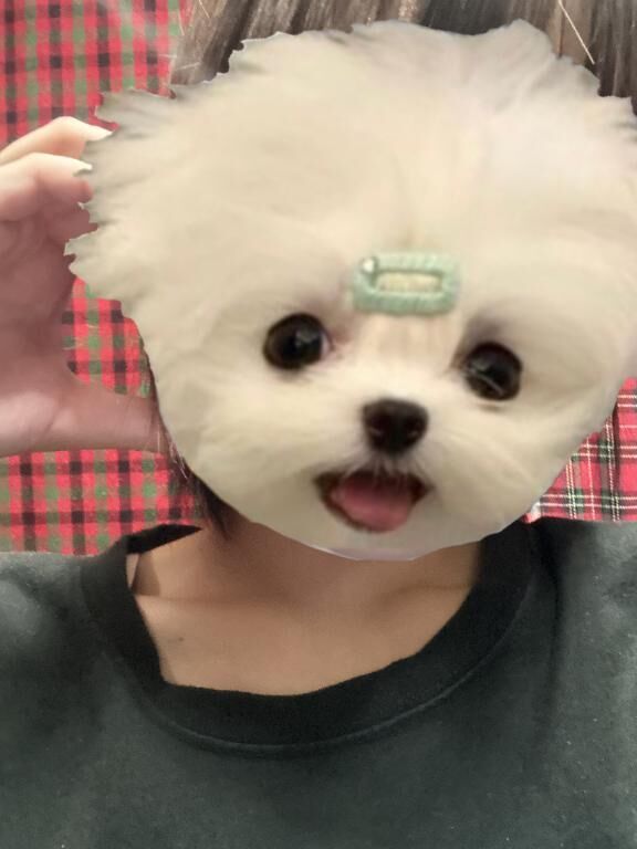 次！