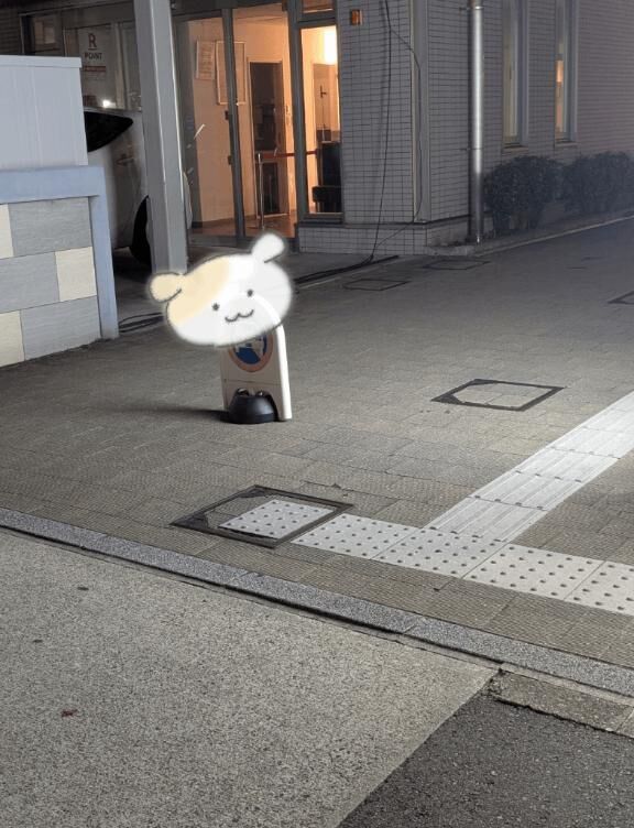 目が悪いので