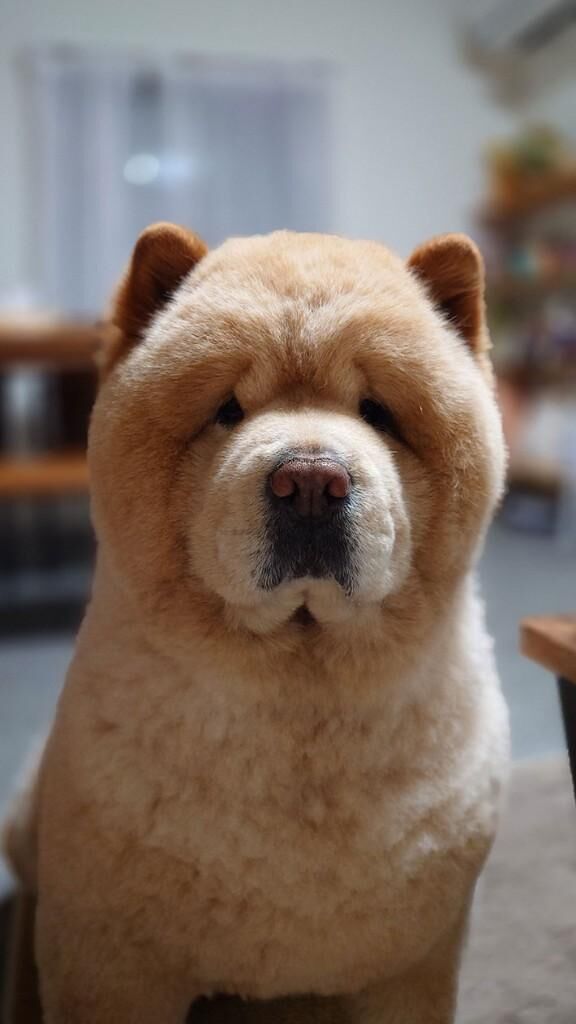 見てはいけない♡